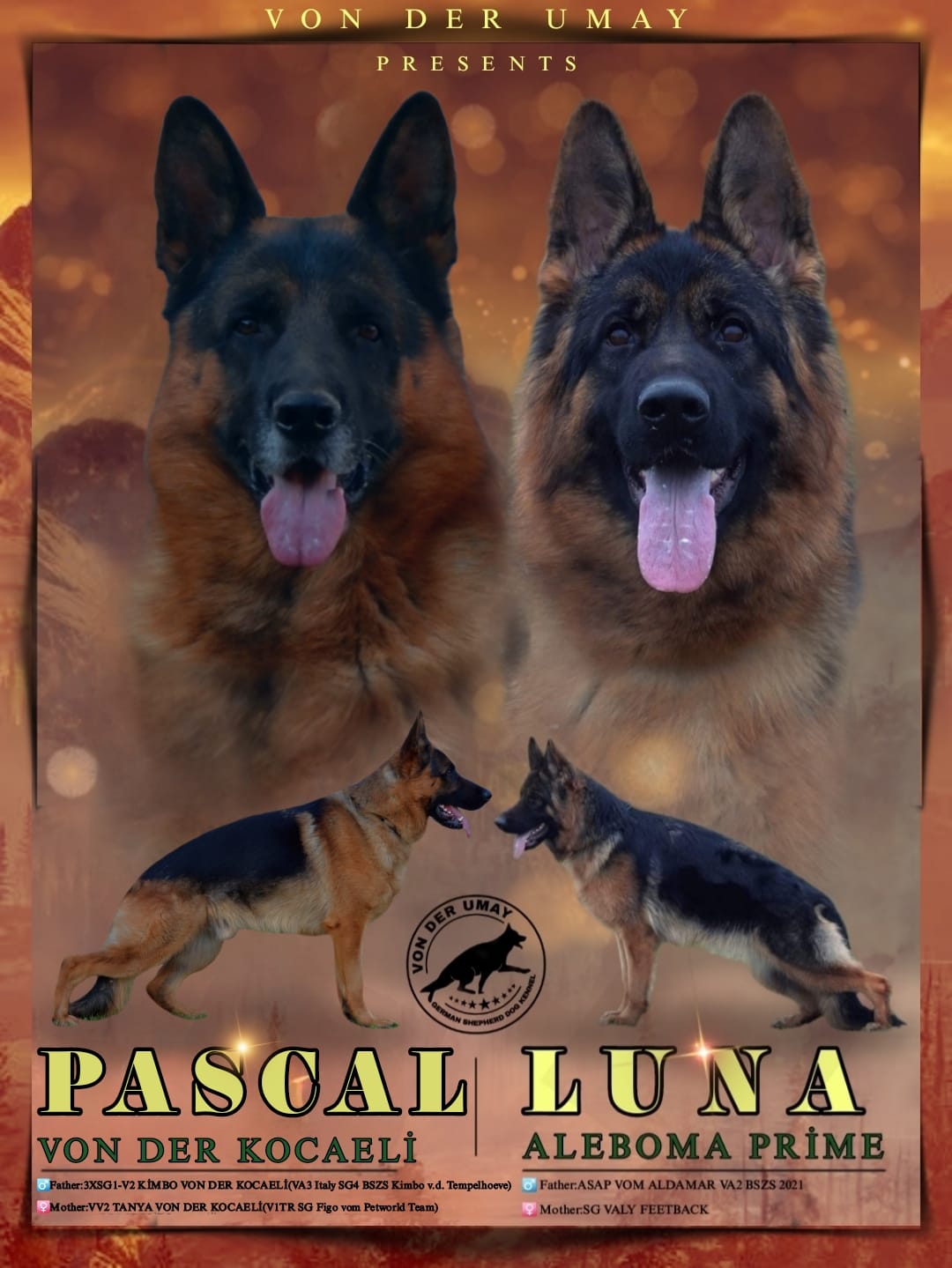 PASCAL | LUNA 